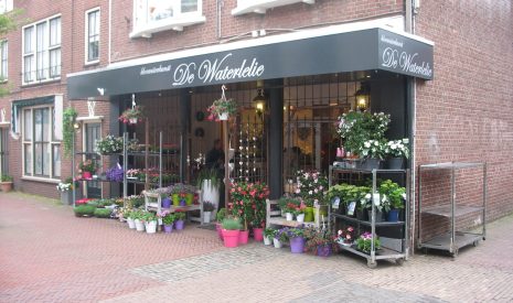 Hoofdfoto van Terborg Hoofdstraat 36*