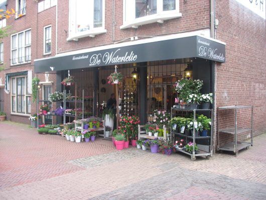 Hoofdfoto van Terborg Hoofdstraat 36*