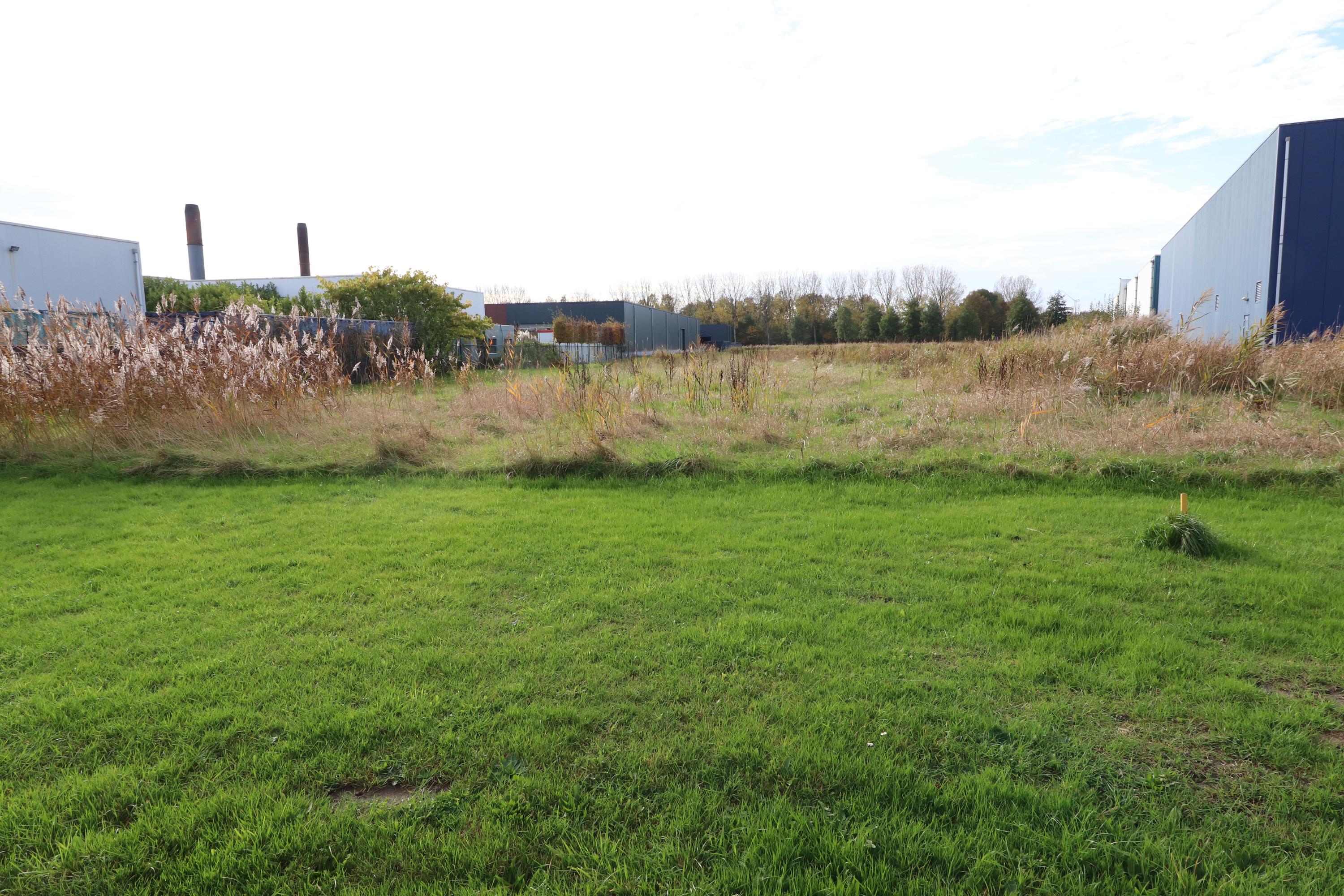 Hoofdfoto van Swifterbant De Kolk 91