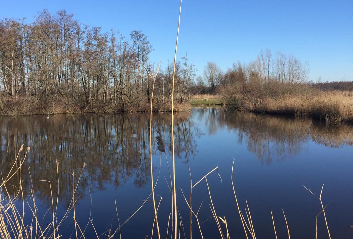 Te Koop: Foto Appartement aan de Dorpsstraat 103a in Nieuwkoop
