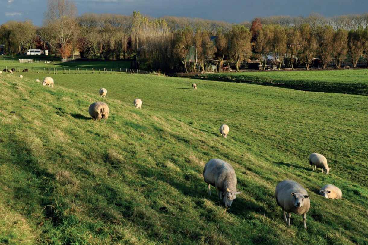 Te Koop: Foto Woonhuis aan de Bouwnummer 1 in Rijnsaterwoude