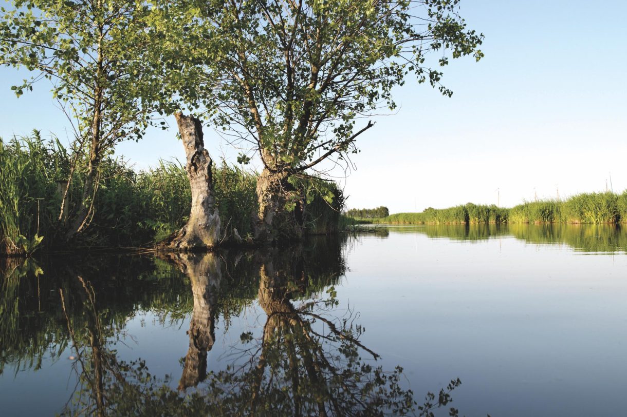 Te Koop: Foto Woonhuis aan de Waterlelie 7 in Leimuiden
