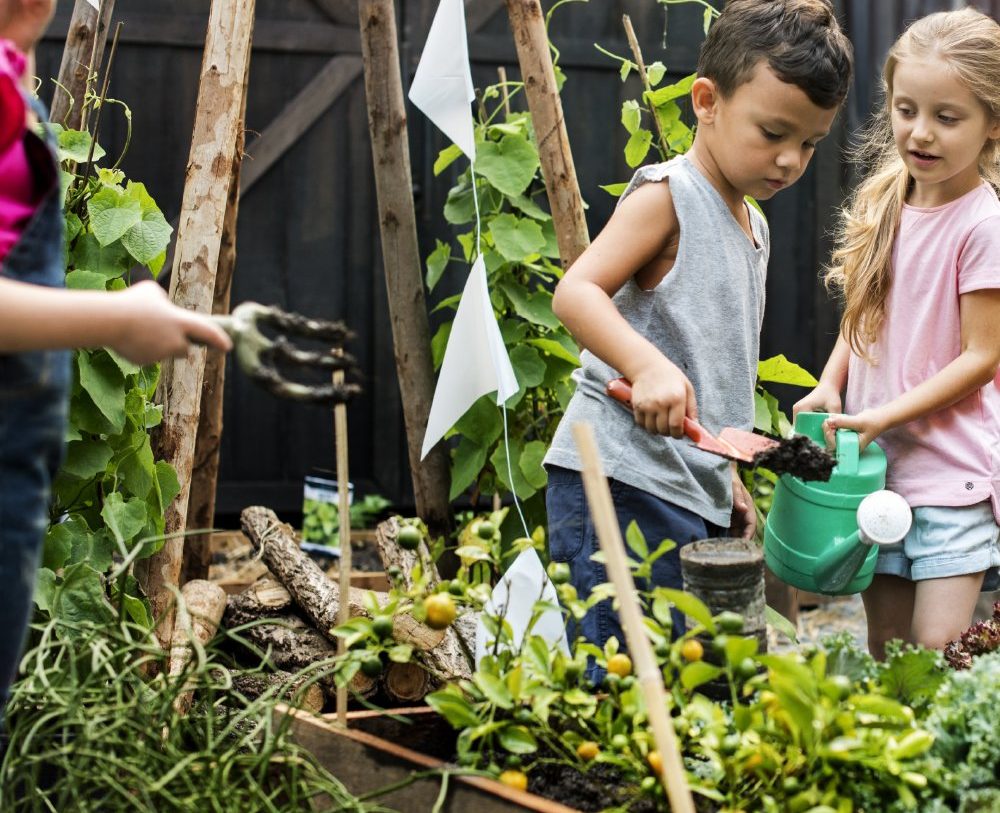 Te Koop: Foto Appartement aan de Appartement V2 2 in Rijnsaterwoude