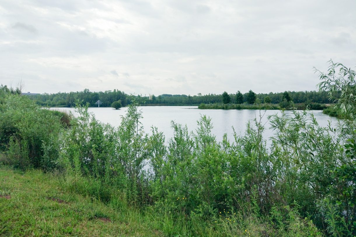 Te Koop: Foto Woonhuis aan de Boerenzwaluw 4-laagse waterwoning 12 in Arnhem