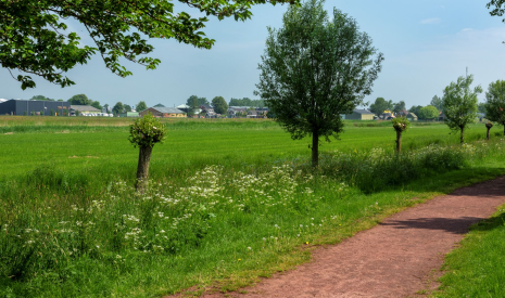 Te : Foto  aan de Nieuwkoop in Nieuwkoop