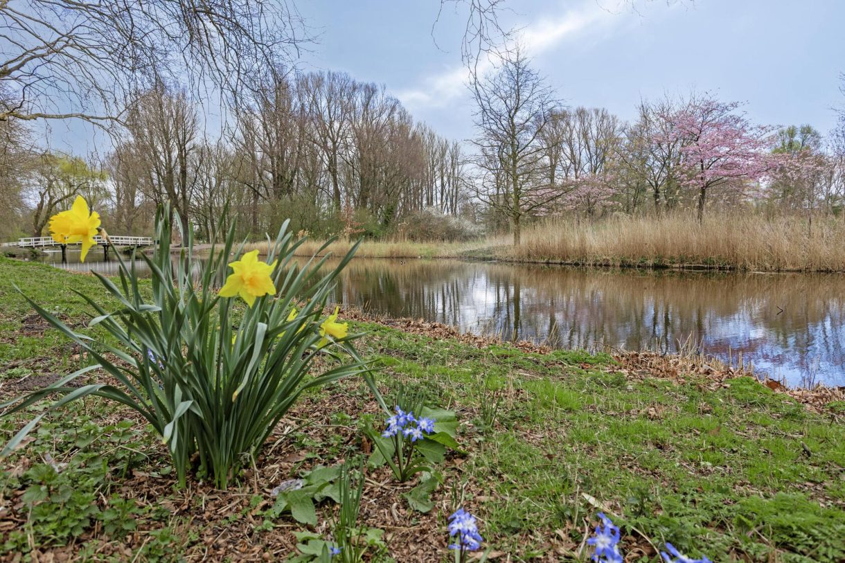 Te koop: Foto Appartement aan de Spaansgroenstraat 54 in Zaandam