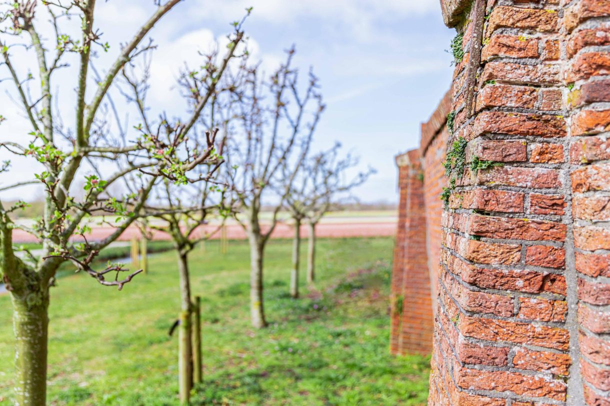Te koop: Foto Woonhuis aan de Achterweg-Zuid 56 in Lisse