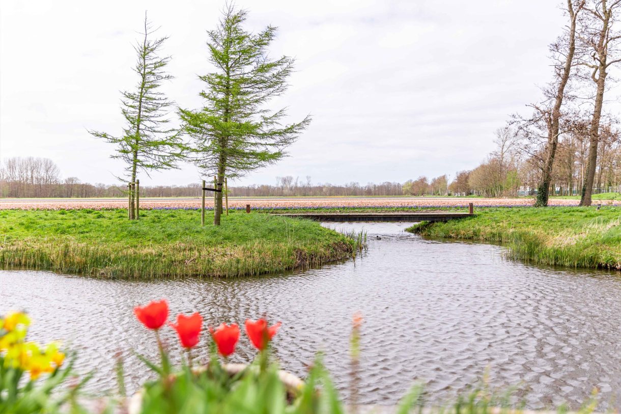 Te koop: Foto Woonhuis aan de Achterweg-Zuid 56 in Lisse