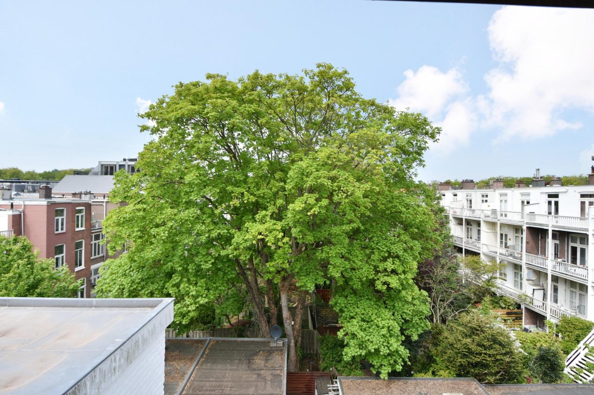 Te koop: Foto Appartement aan de Rijklof van Goensstraat 6 in 's-Gravenhage