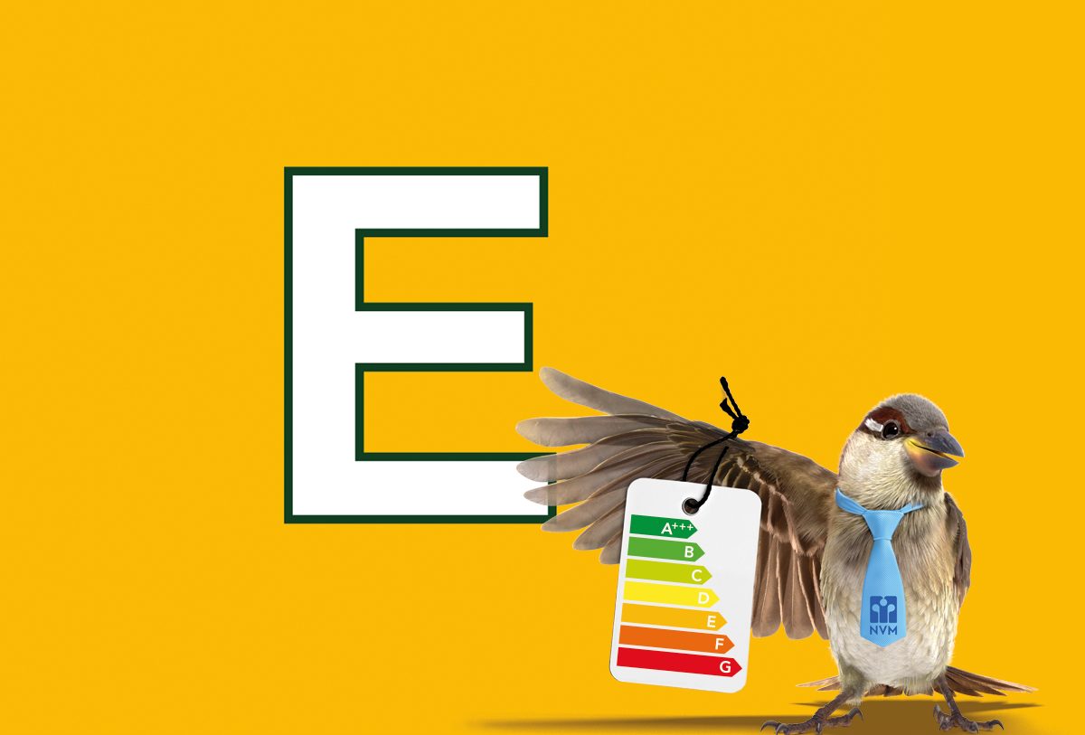 Te koop: Foto Appartement aan de Rijklof van Goensstraat 6 in 's-Gravenhage