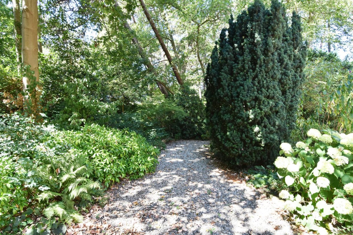 Te koop: Foto Appartement aan de Badhuisweg 145a in 's-Gravenhage