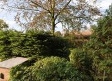 huur  's-Gravenhage  Riouwstraat 82 – Foto 3