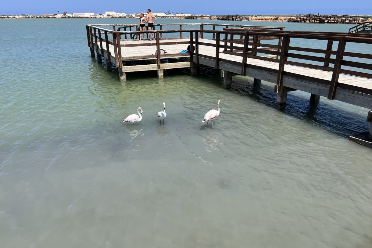 Te koop: Foto Appartement aan de Calle Zarza in Torre-Pachecco