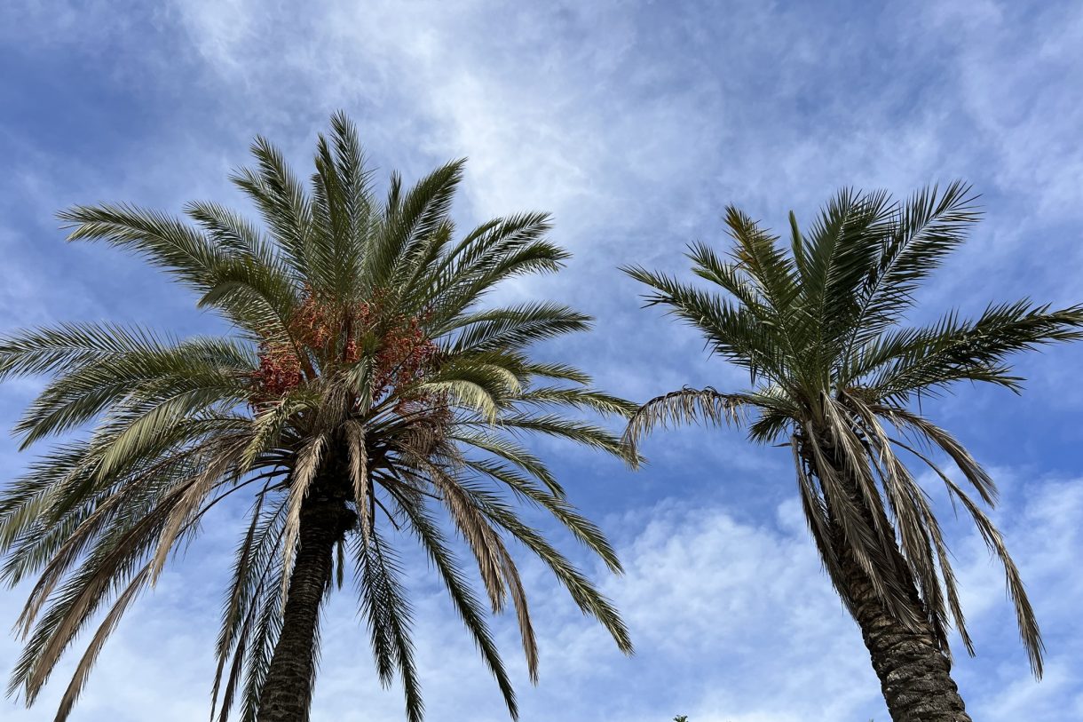 Te koop: Foto Appartement aan de Calle Zarza in Torre-Pachecco