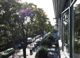 koop  's-Gravenhage  Van Hogendorpstraat 61 – Foto 36