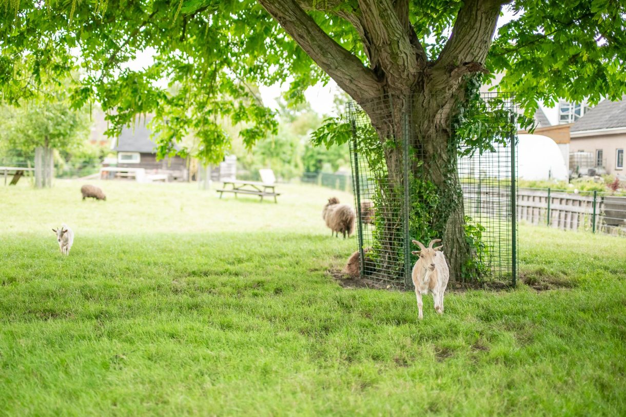 Te koop: Foto Woonhuis aan de Park Ypenburg 8 in Koudekerk aan den Rijn