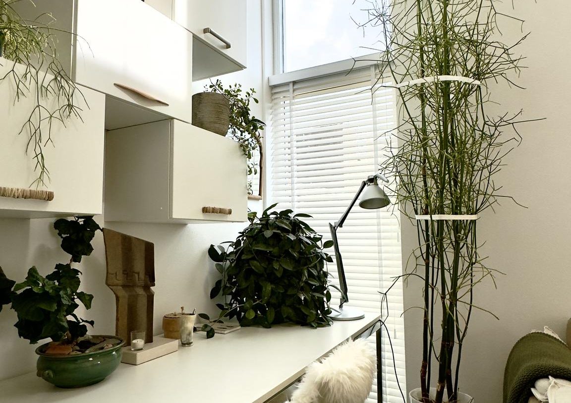 Te koop: Foto Woonhuis aan de Spoorlaan Zuid 27D in Rijen