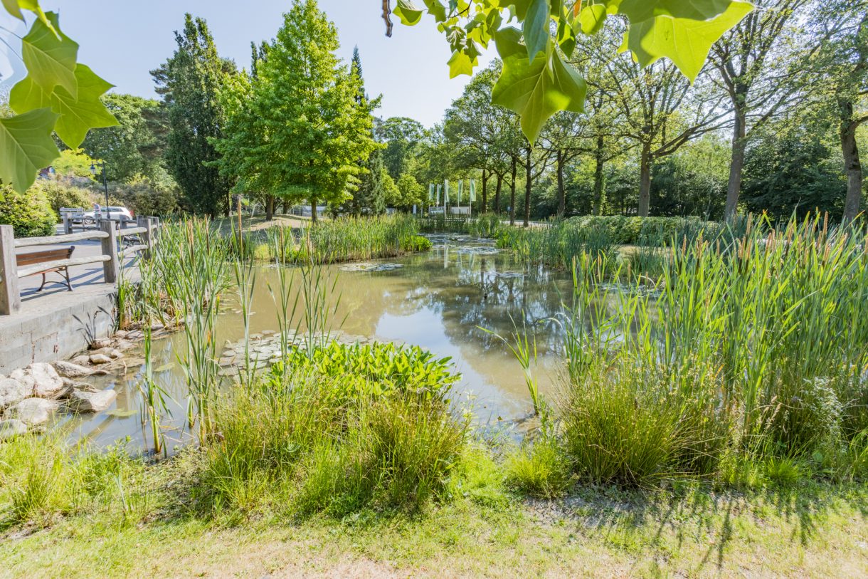 Te koop: Foto Woonhuis aan de Oshaarseweg 24-93 in Echten