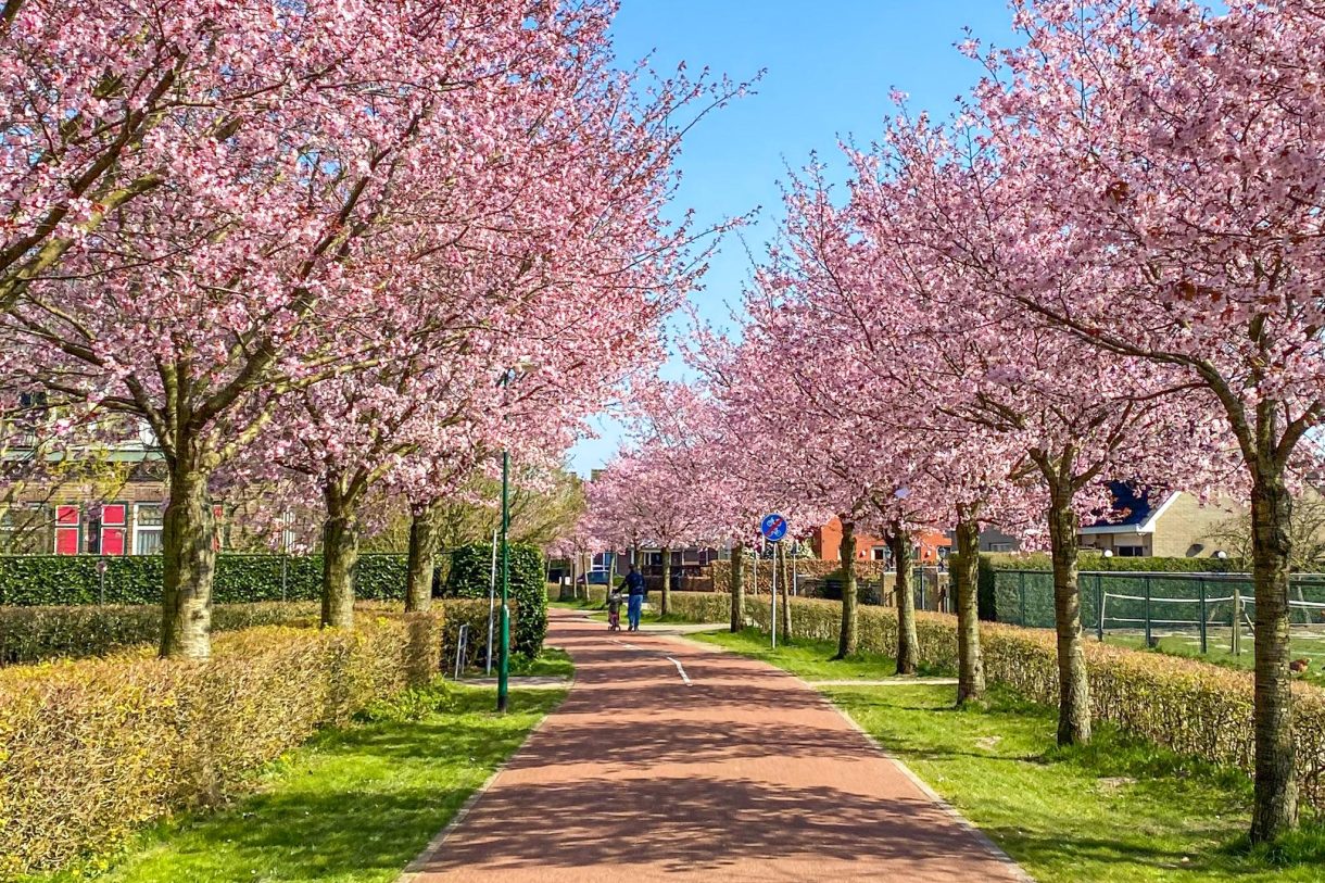 Te koop: Foto Woonhuis aan de Heidetuin 24 in Houten