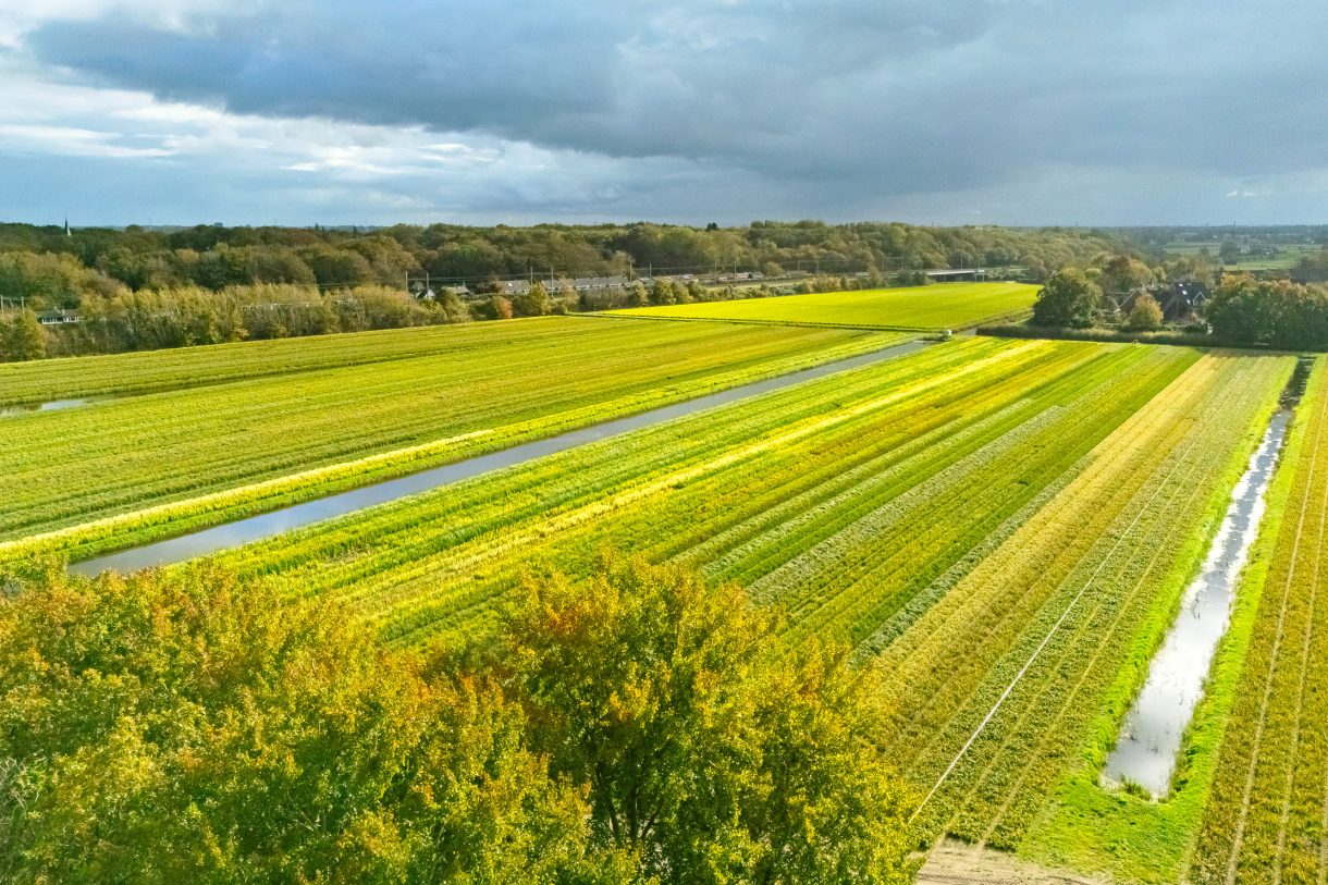 Te koop: Foto Woonhuis aan de Bekslaan 58 in Vogelenzang