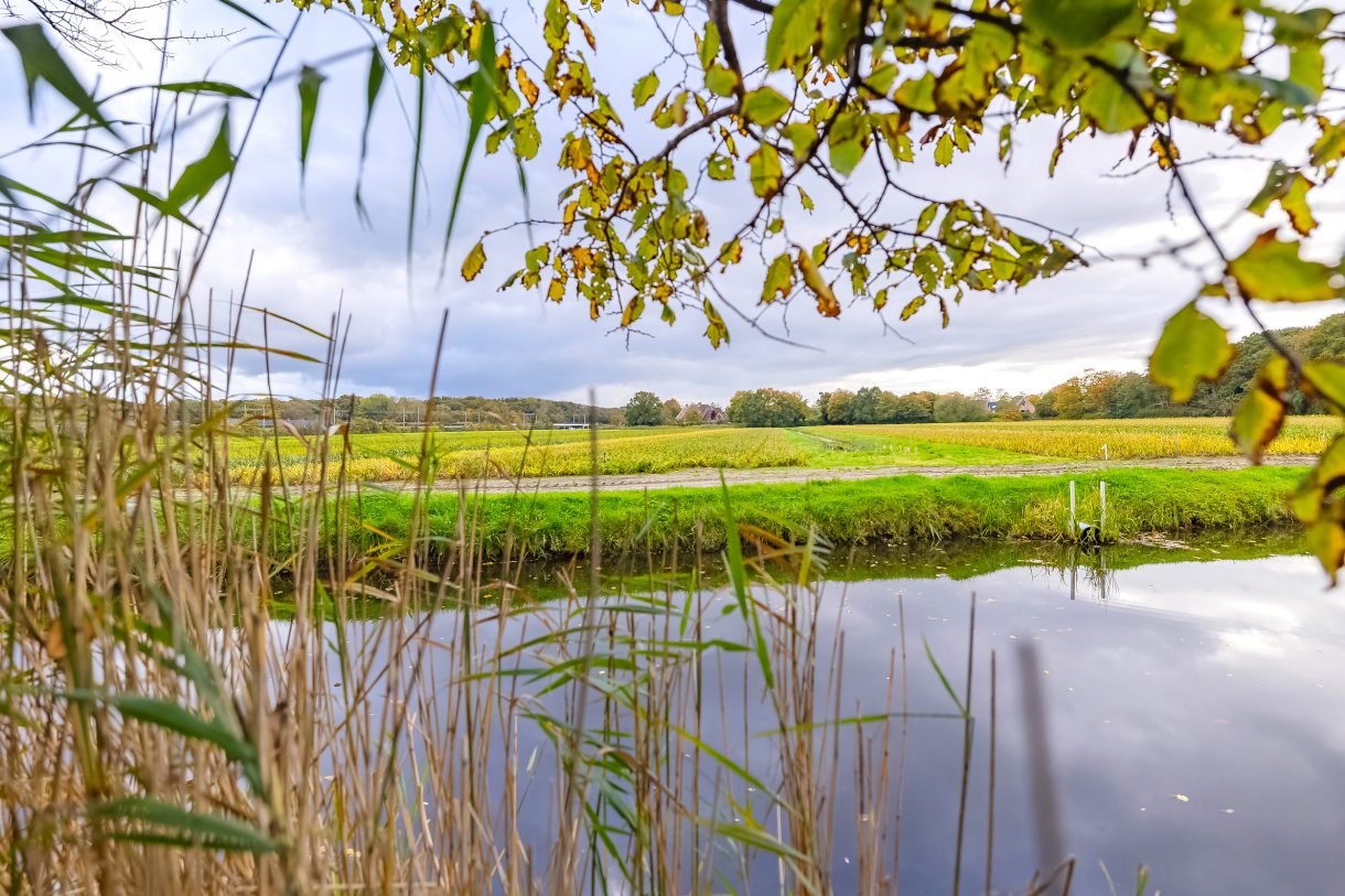 Te koop: Foto Woonhuis aan de Bekslaan 58 in Vogelenzang