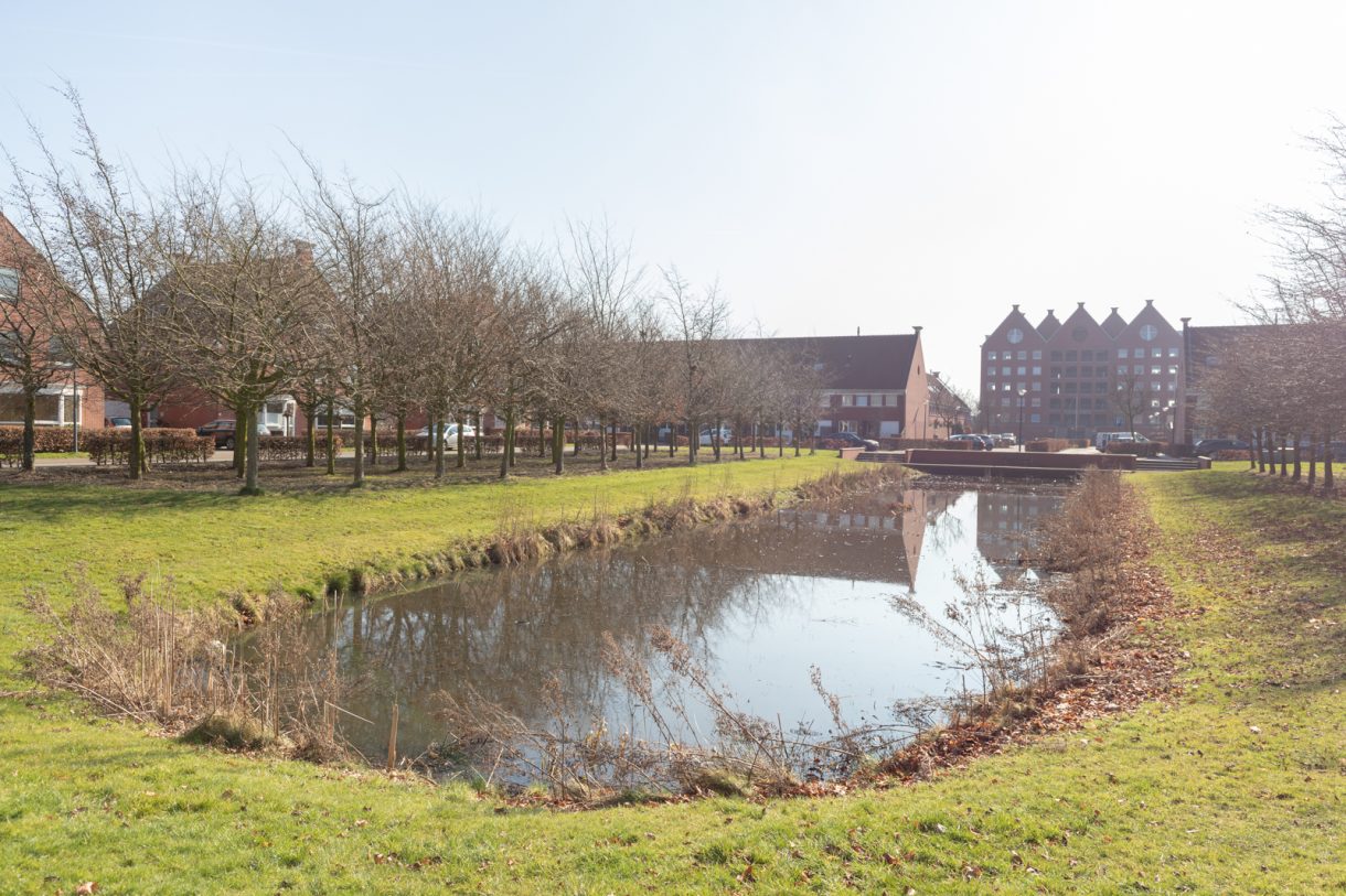 Te koop: Foto Woonhuis aan de Borgdomein 20 in Leek