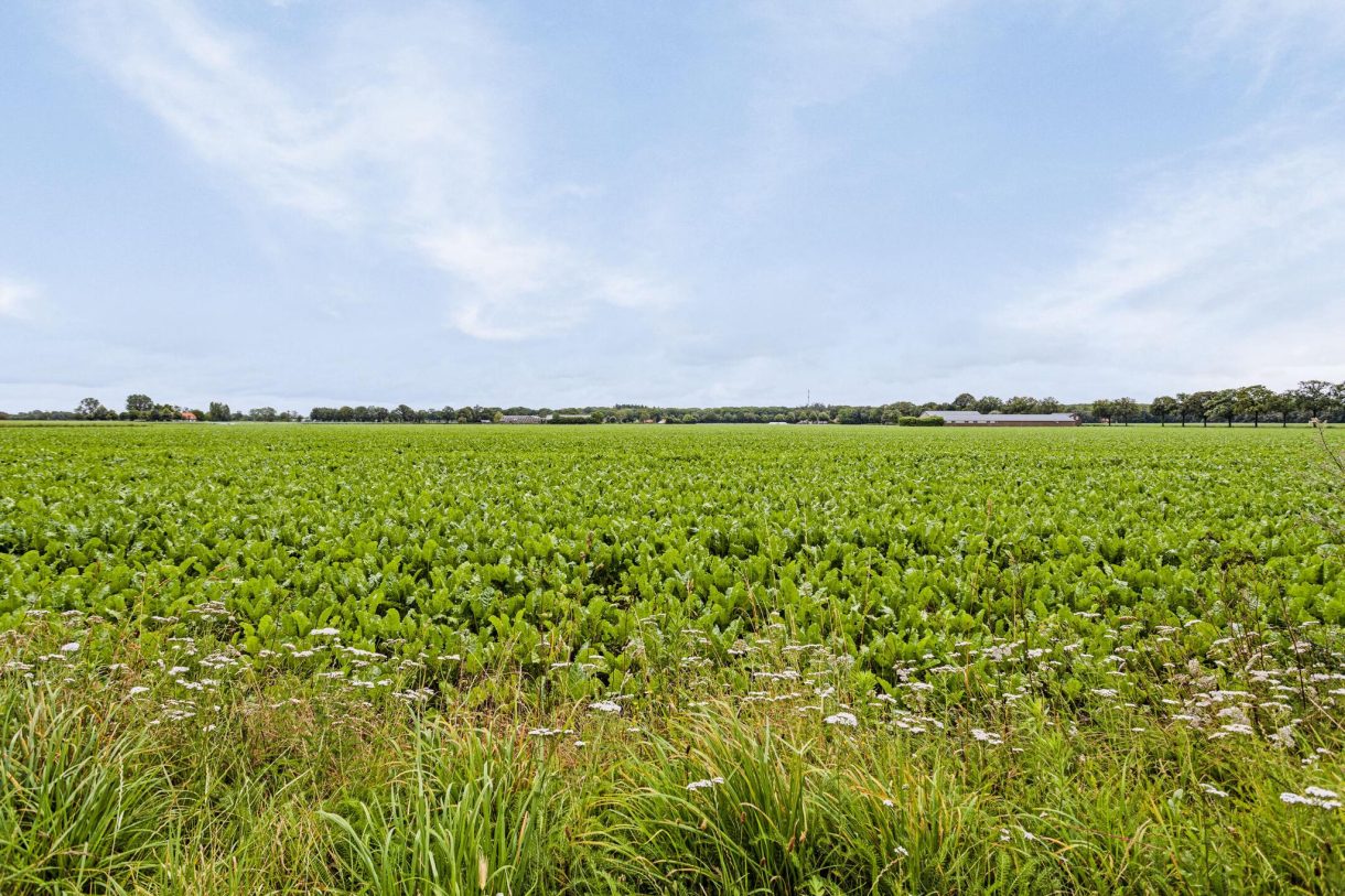 Te koop: Foto Woonhuis aan de Dennenmark 9 in Venhorst