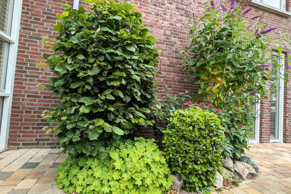 Te koop: Foto Woonhuis aan de Dijkwacht 14 in Leiderdorp