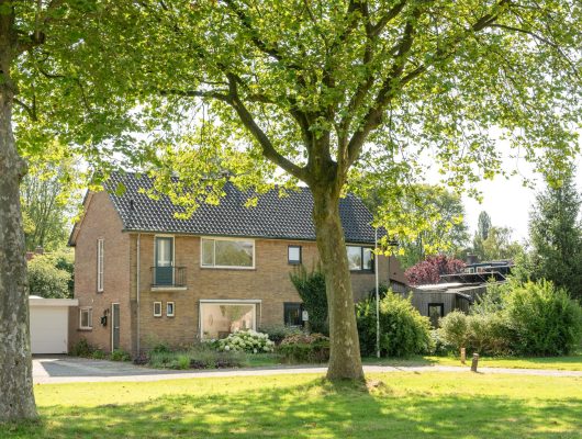 Hoofdfoto van Drachten Eize Bosstraat 13