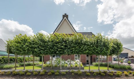 Te koop: Foto Woonhuis aan de Het Helmhout 77 in Drachten