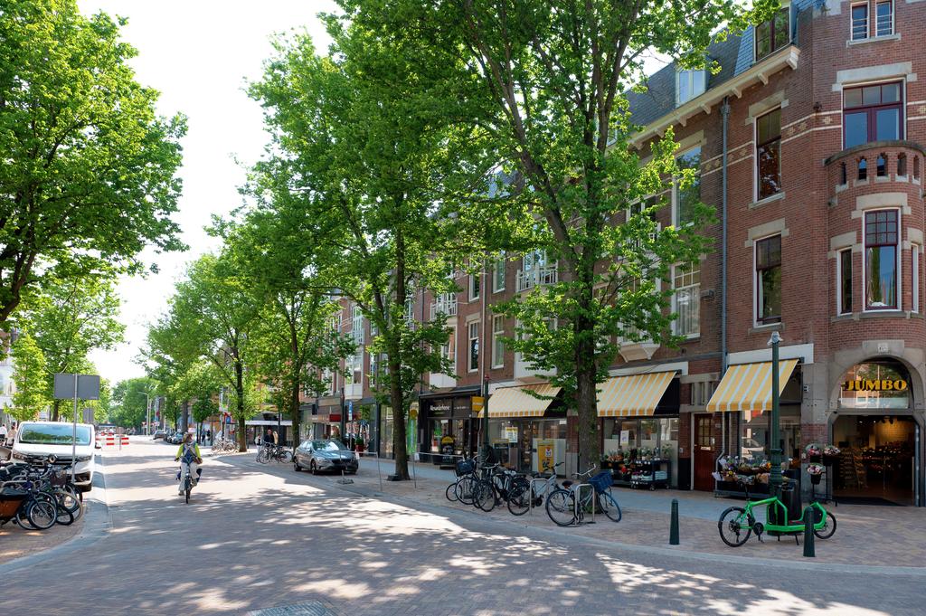 Te huur: Foto Appartement aan de Frederik Hendriklaan 89 in 's-Gravenhage