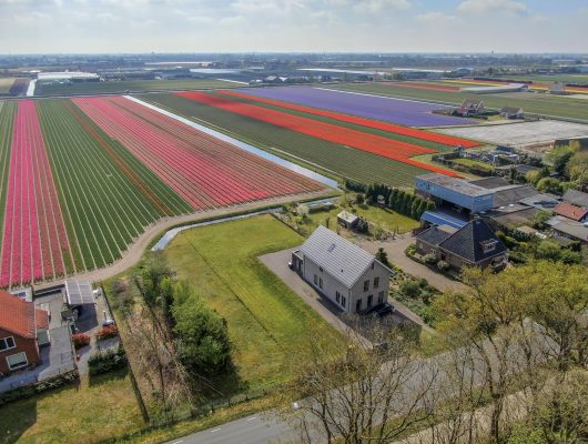 Hoofdfoto van Vogelenzang Zilkerduinweg 394a