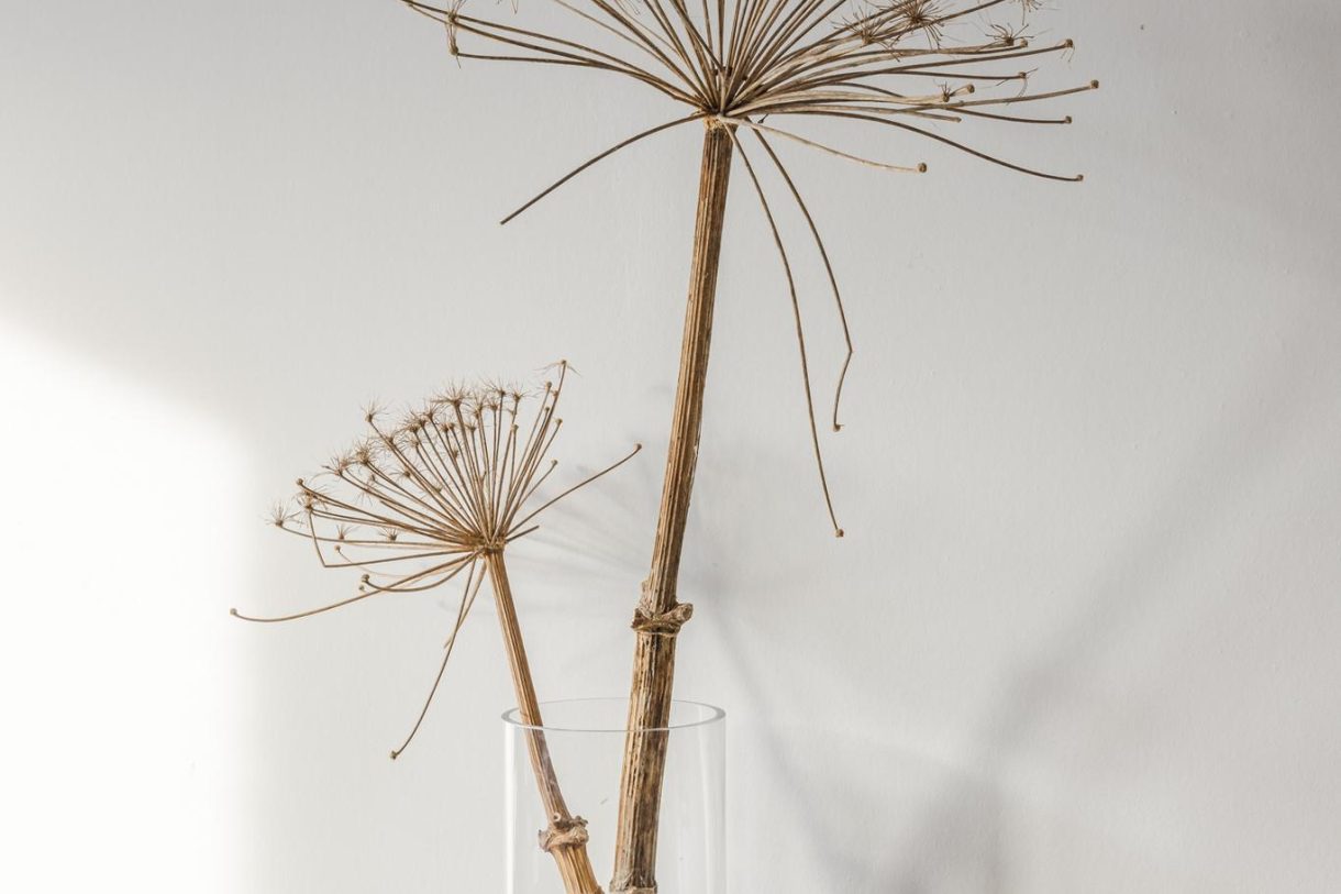 Te koop: Foto Woonhuis aan de Akkermunt 27 in Bodegraven