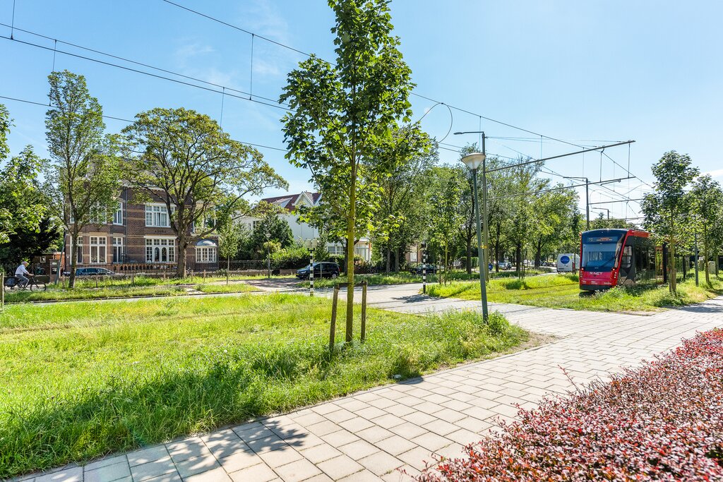 Te koop of huur: Foto Appartement aan de Nieuwe Parklaan 36 in 's-Gravenhage