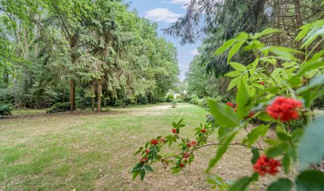 Te koop: Foto Woonhuis aan de Veldweg 73 in Hattem