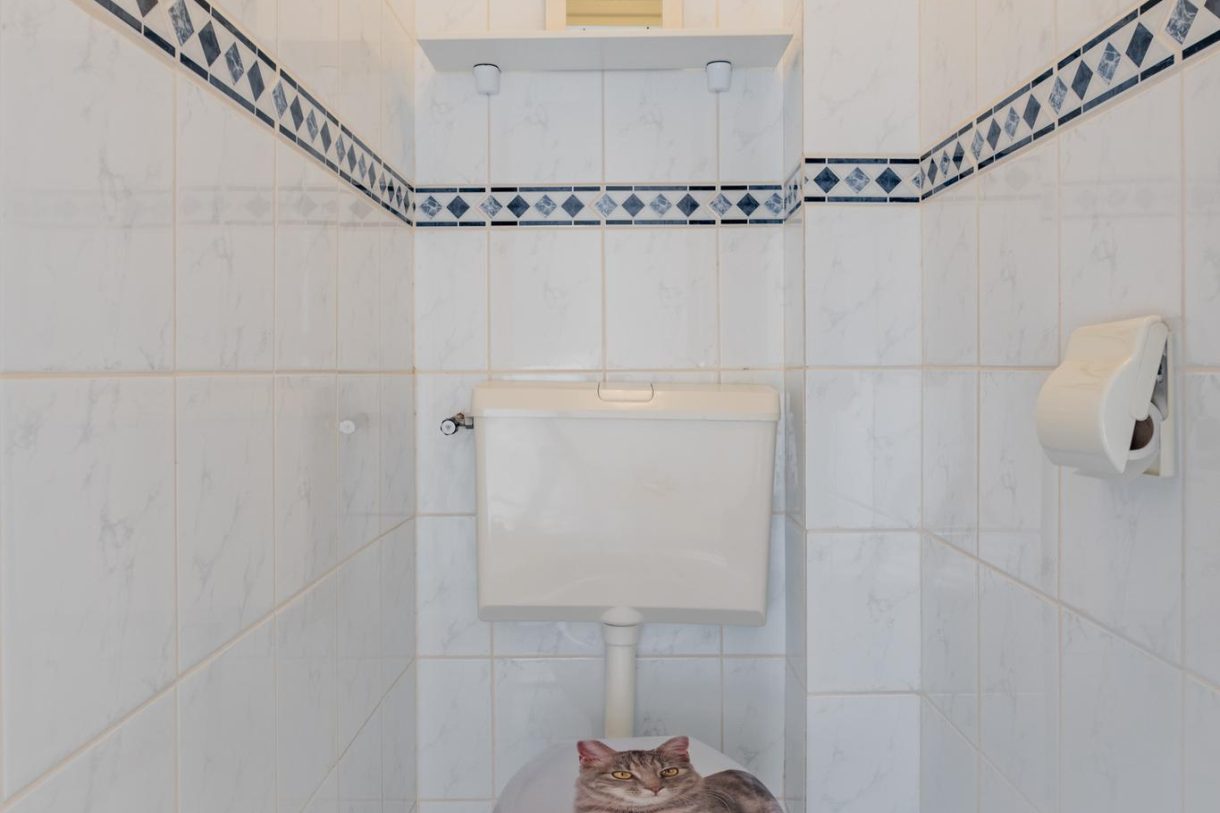 Te koop: Foto Appartement aan de De Reiger 239 in Hoogeveen