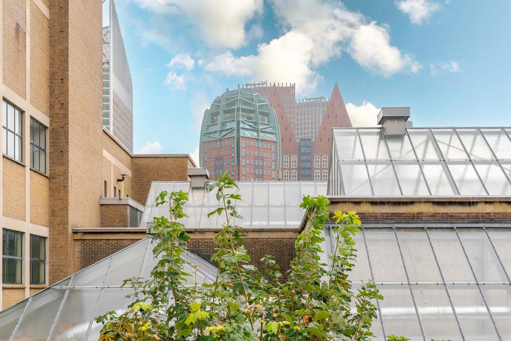 Te huur: Foto Woonhuis aan de Casuariestraat 55 in 's-Gravenhage