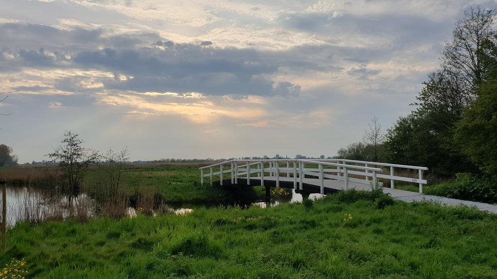 Te koop: Foto Appartement aan de Plataanweg 32 in Zaandijk
