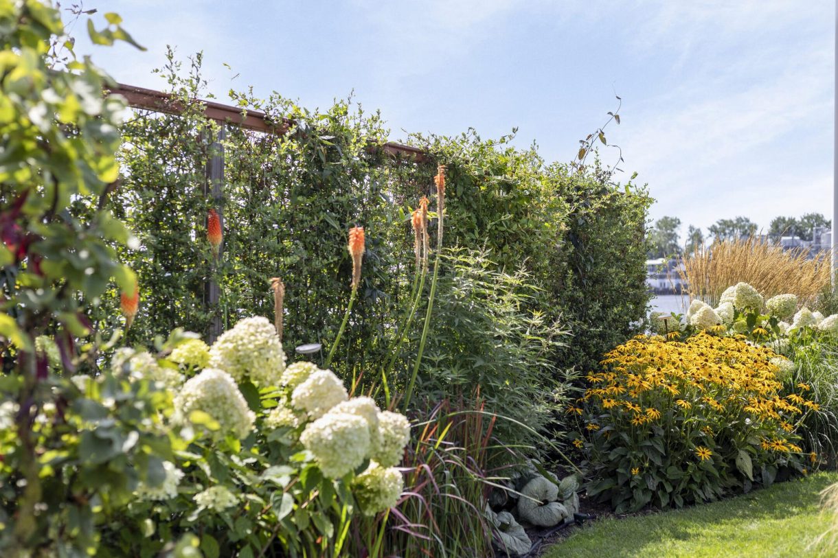 Te koop: Foto Woonhuis aan de De Jonge Prins 4 in Zaandam