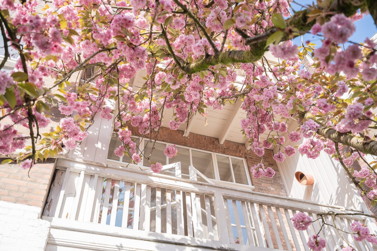 Te koop: Foto Appartement aan de Amsterdamsestraat 4 in 's-Gravenhage