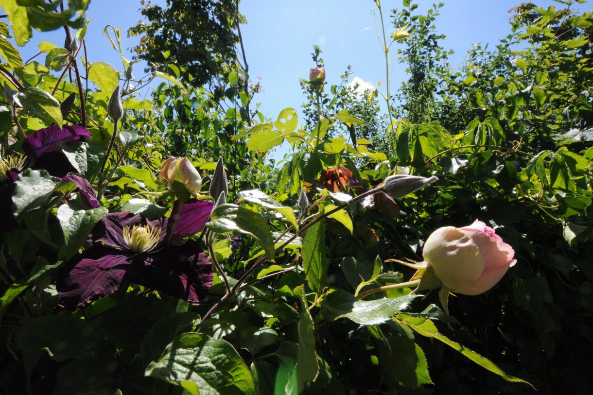 Te koop: Foto Woonhuis aan de Meeuwenveld 16 in Nieuwveen