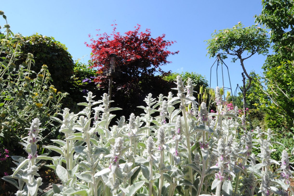 Te koop: Foto Woonhuis aan de Meeuwenveld 16 in Nieuwveen
