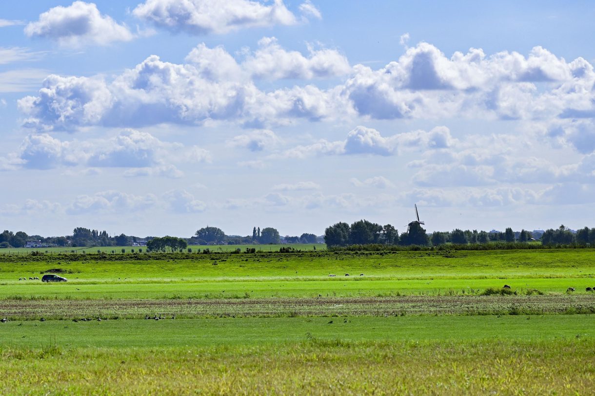Te koop: Foto Woonhuis aan de Boeghof 6 in Leimuiden