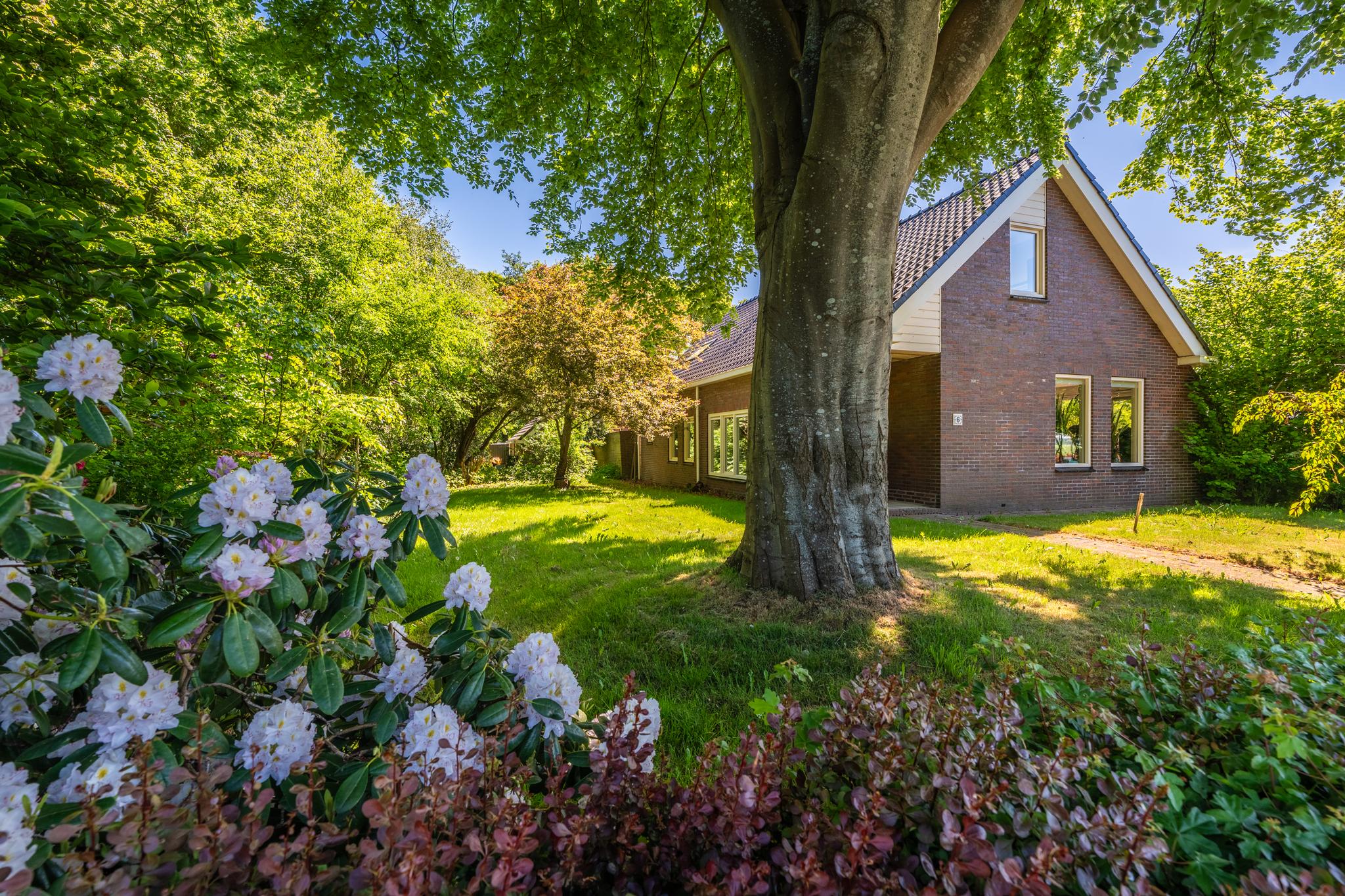 koop  Froombosch  Langewijk 6 – Foto