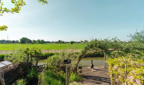 Te koop: Foto Woonhuis aan de Kruidenstraat 149 in Nijmegen
