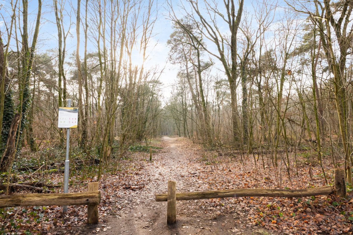 Te koop: Foto Woonhuis aan de Gruttostraat 13 in Odiliapeel