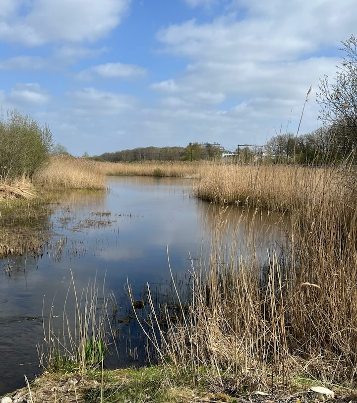 Te koop: Foto Woonhuis aan de Het Lage Holt 10 in Hoogeveen