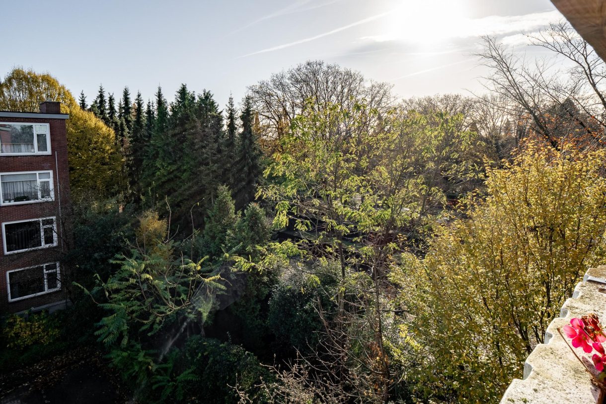 Te koop: Foto Appartement aan de Castorweg 242 in Hengelo