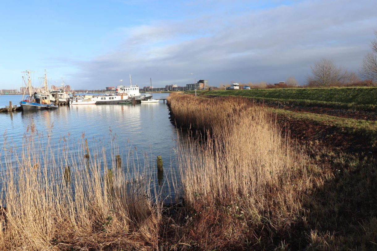 Te koop: Foto Appartement aan de Saerdam 295 in Lelystad