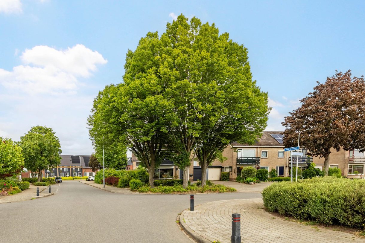 Te koop: Foto Woonhuis aan de Buizerdstraat 1 in Brummen